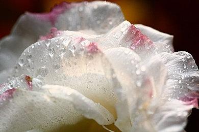 航海经营冒险游戏《风帆纪元》于7月20日登陆主机平台！